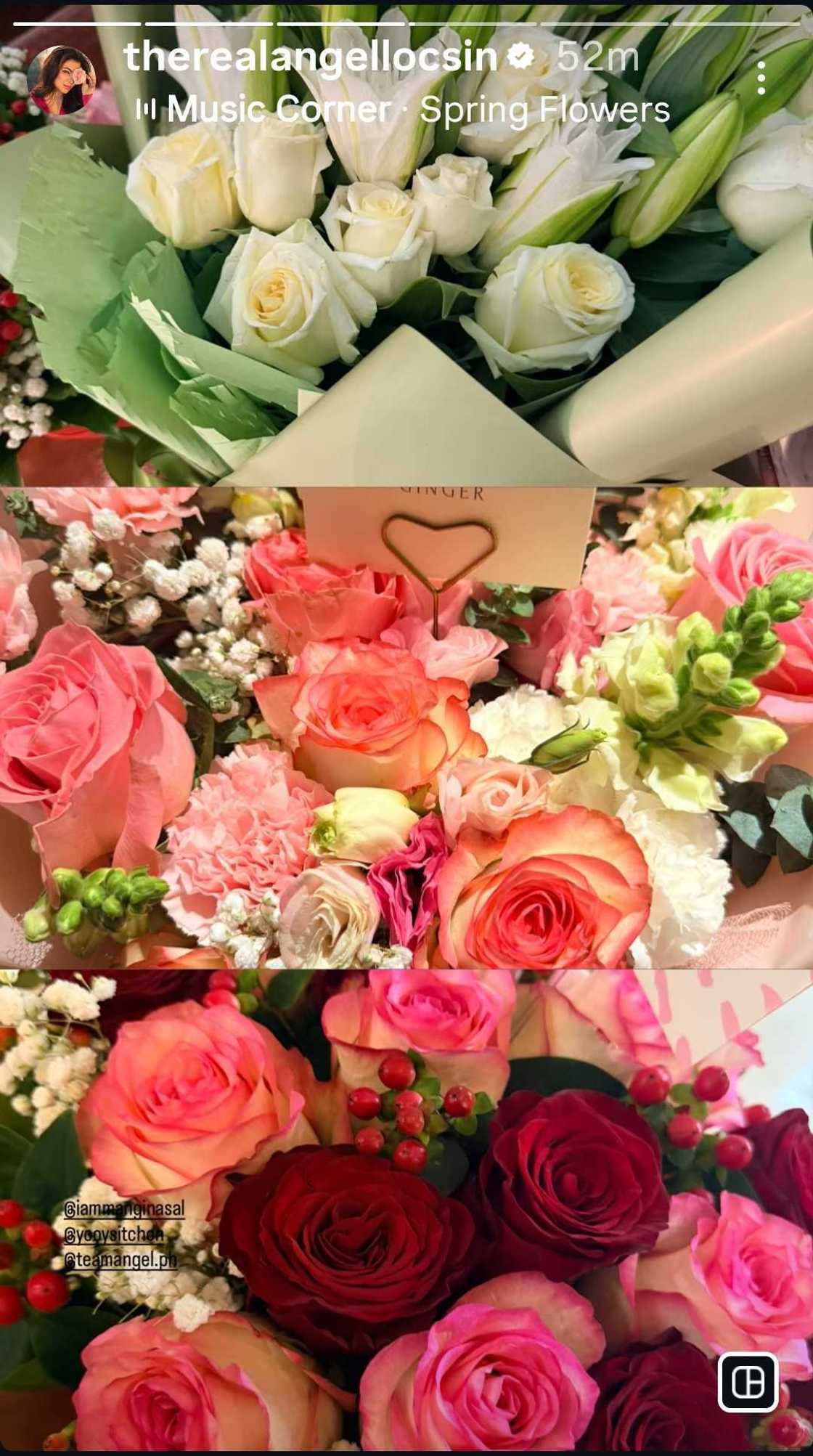 “Love you all”: Angel Locsin shares a series of posts after quiet birthday celebration “Love you all”: Angel Locsin shares a series of posts after quiet birthday celebration