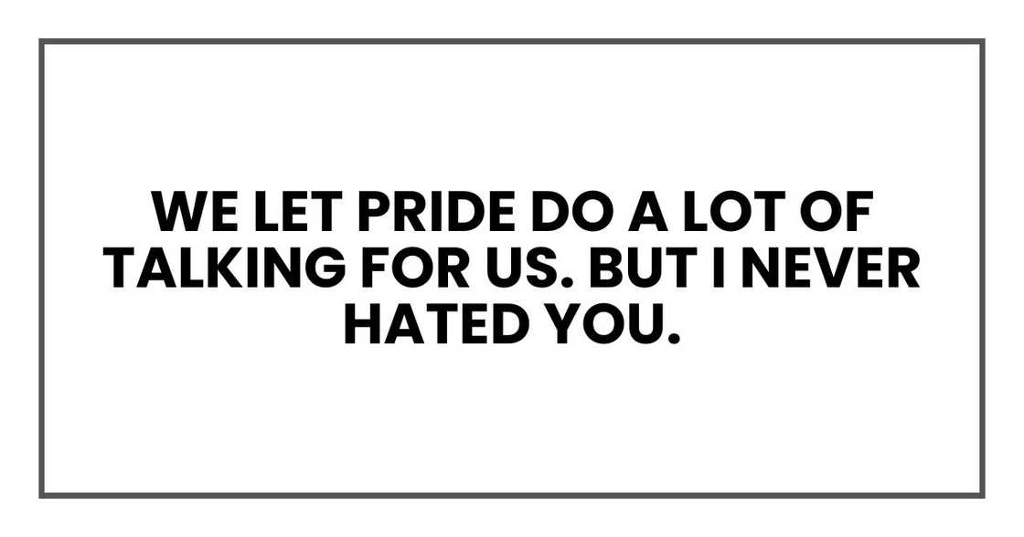 We let pride do a lot of talking for us. But I never hated you. We let pride do a lot of talking for us. But I never hated you.