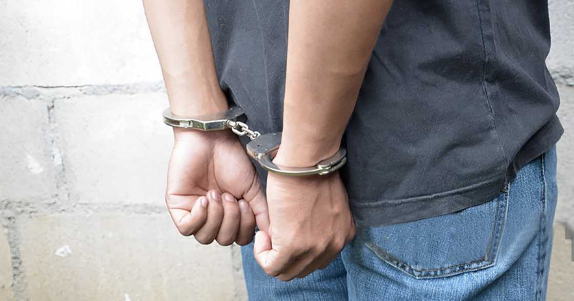 Joint operation halts illegal dog meat trade, man apprehended Joint operation halts illegal dog meat trade, man apprehended