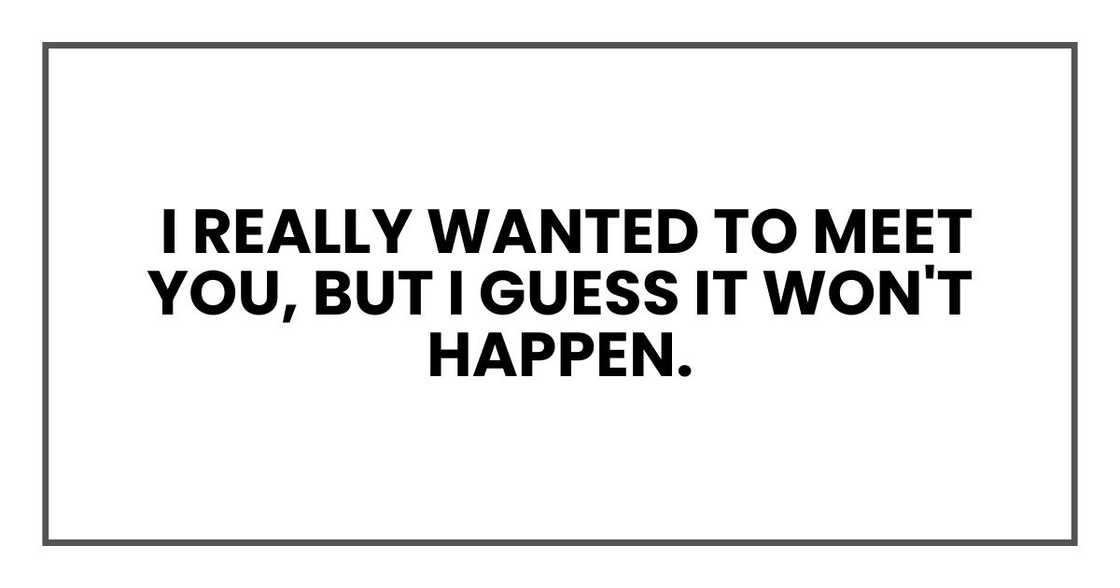 I really wanted to meet you, but I guess it won't happen.