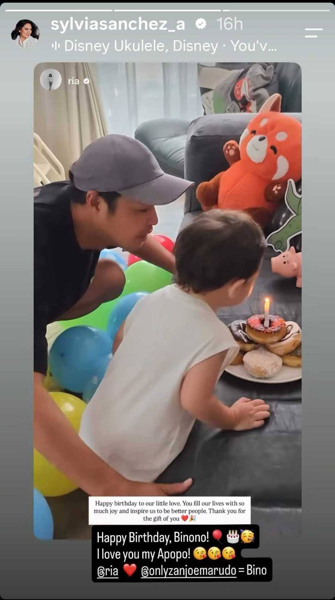 Sylvia Sanchez, may sweet na birthday greeting para sa apo na si Sabino