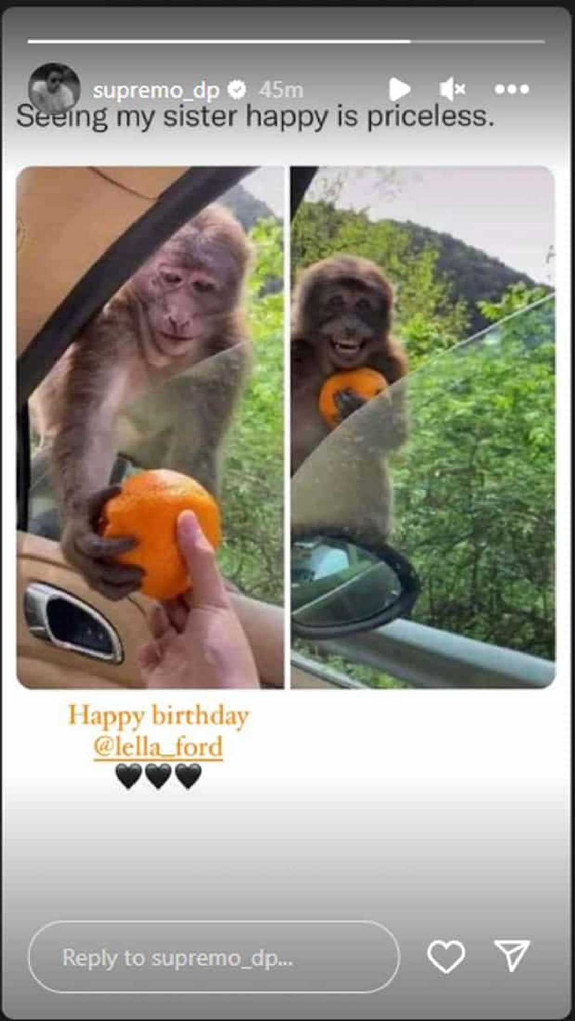 Daniel Padilla Daniel Padilla