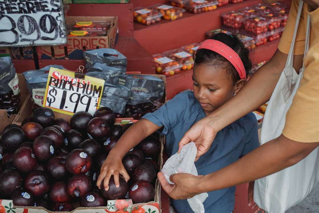 A child reaches for fruit while an adult shops at a market. A child reaches for fruit while an adult shops at a market.