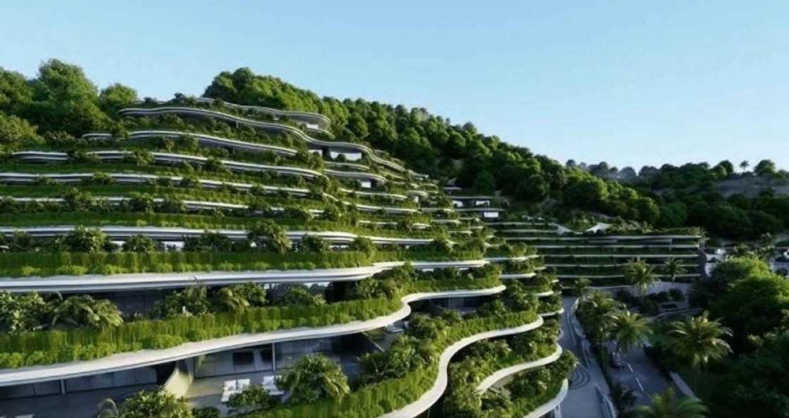 DENR, naglabas ng pahayag kaugnay sa Monterrazas de Cebu