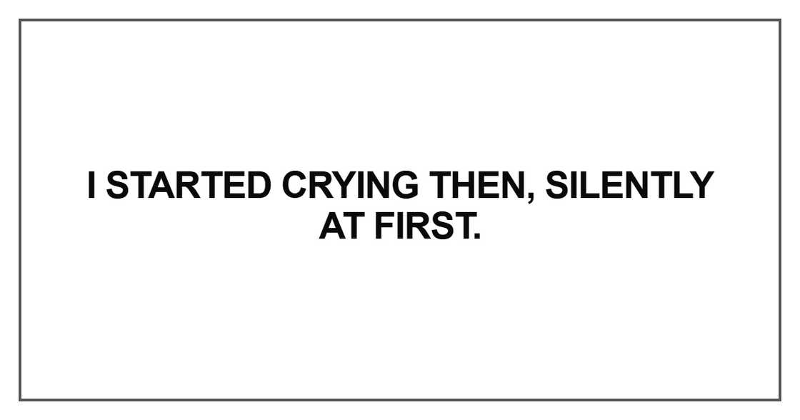 I started crying then, silently at first I started crying then, silently at first