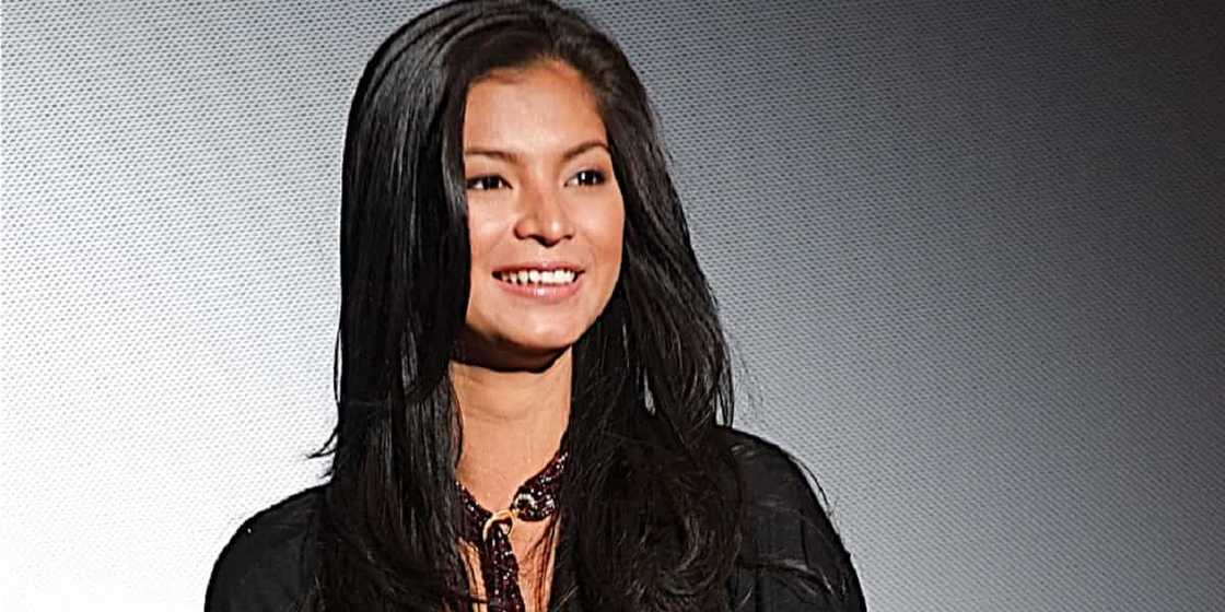 Angel Locsin to Lt. Gen. Parlade: “hindi ako parte ng NPA or any terrorist group” Angel Locsin to Lt. Gen. Parlade: “hindi ako parte ng NPA or any terrorist group”