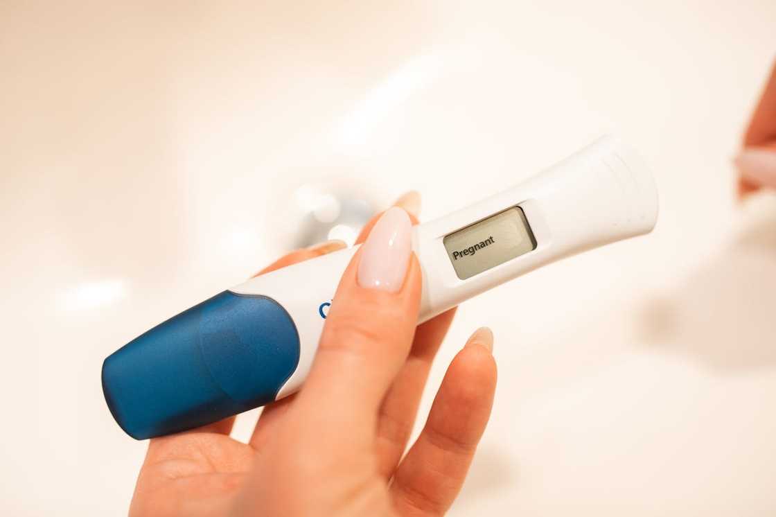 A woman's hand holding a digital pregnancy test kit. A woman's hand holding a digital pregnancy test kit.