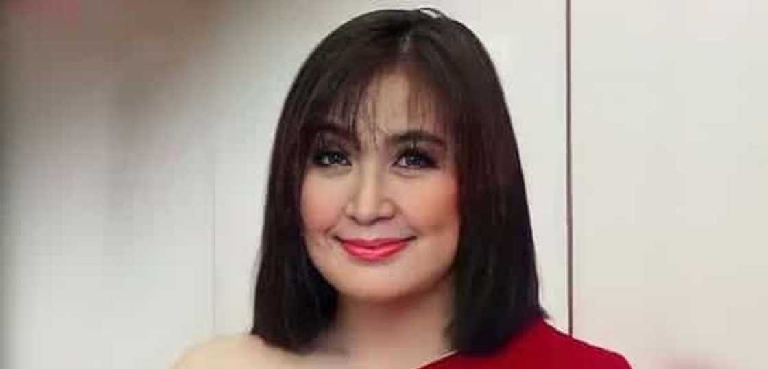 Sharon Cuneta/@reallysharoncuneta