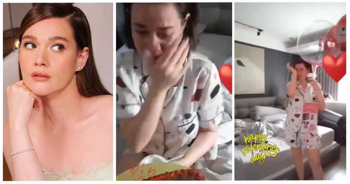 Bea Alonzo, pinagtanggol ng PA sa basher: "May mas kikitid pa ba sa utak mo?" Bea Alonzo, pinagtanggol ng PA sa basher: "May mas kikitid pa ba sa utak mo?"