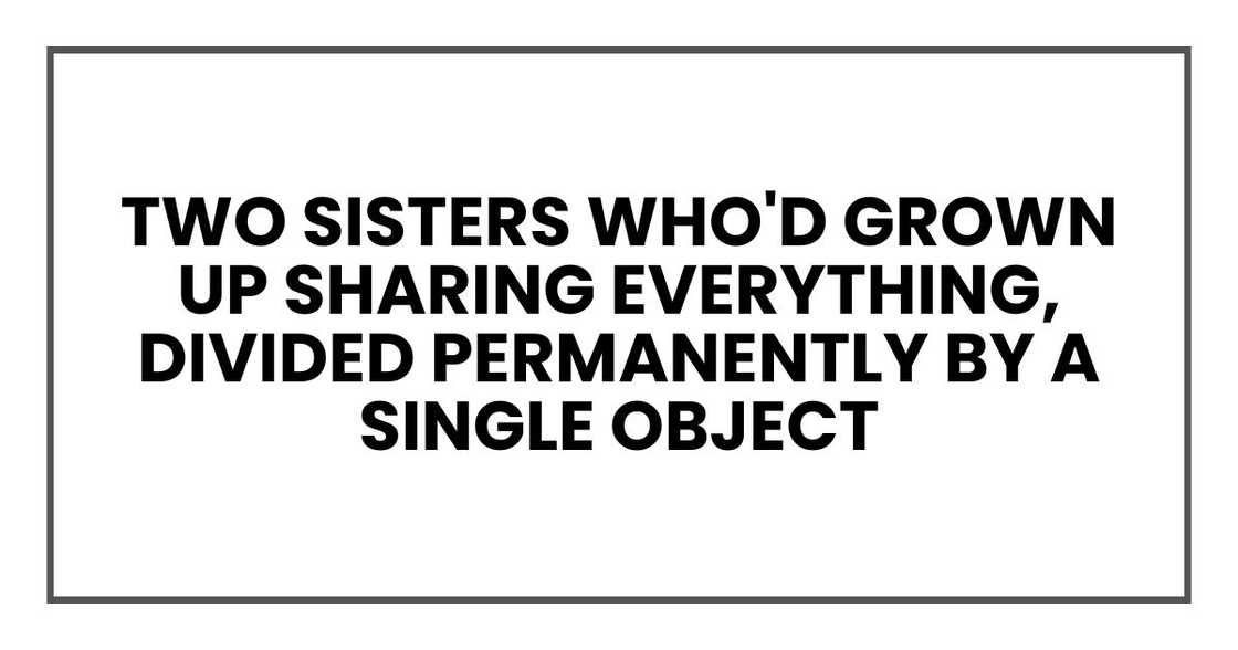 two sisters who'd grown up sharing everything, divided permanently by a single object two sisters who'd grown up sharing everything, divided permanently by a single object