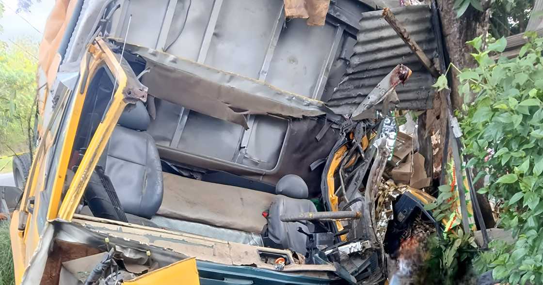 Fatal crash in Quezon: Delivery van hits tree, Kills driver and helper Fatal crash in Quezon: Delivery van hits tree, Kills driver and helper