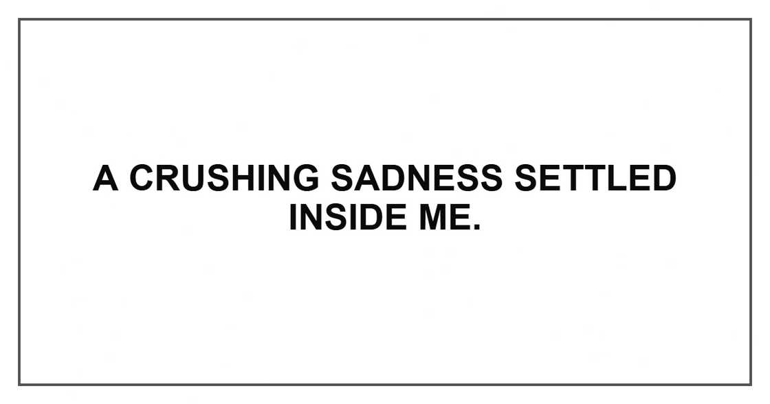 A crushing sadness settled inside me. A crushing sadness settled inside me.