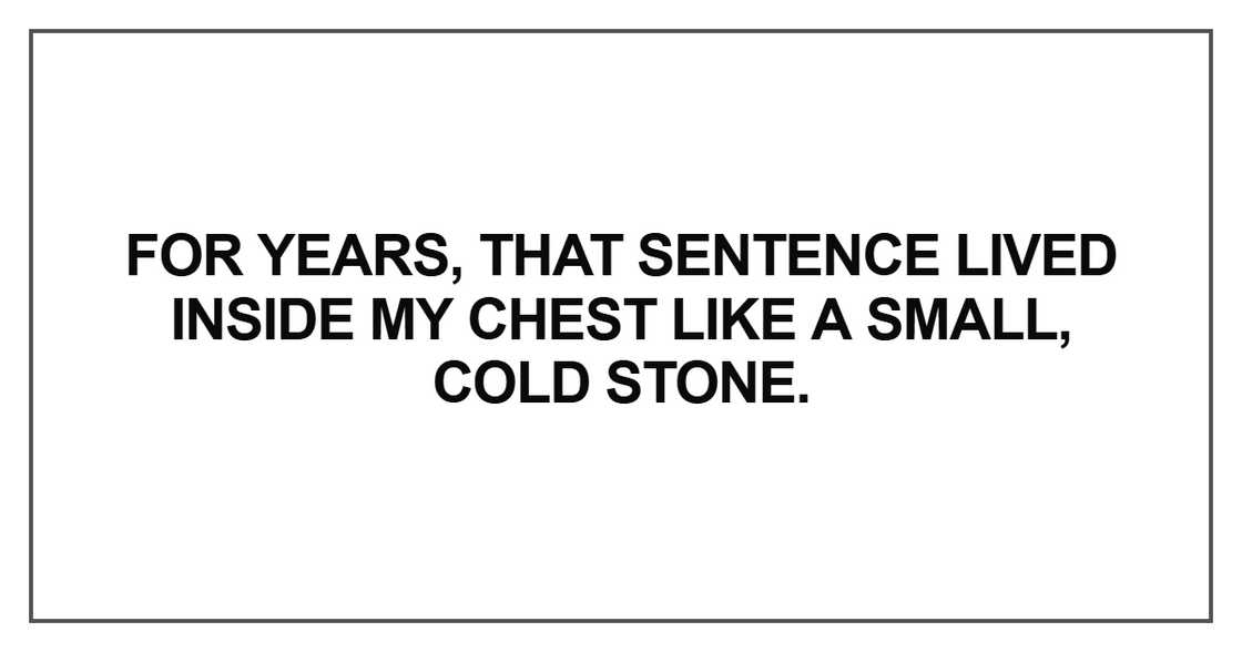 For years, that sentence lived inside my chest like a small, cold stone For years, that sentence lived inside my chest like a small, cold stone