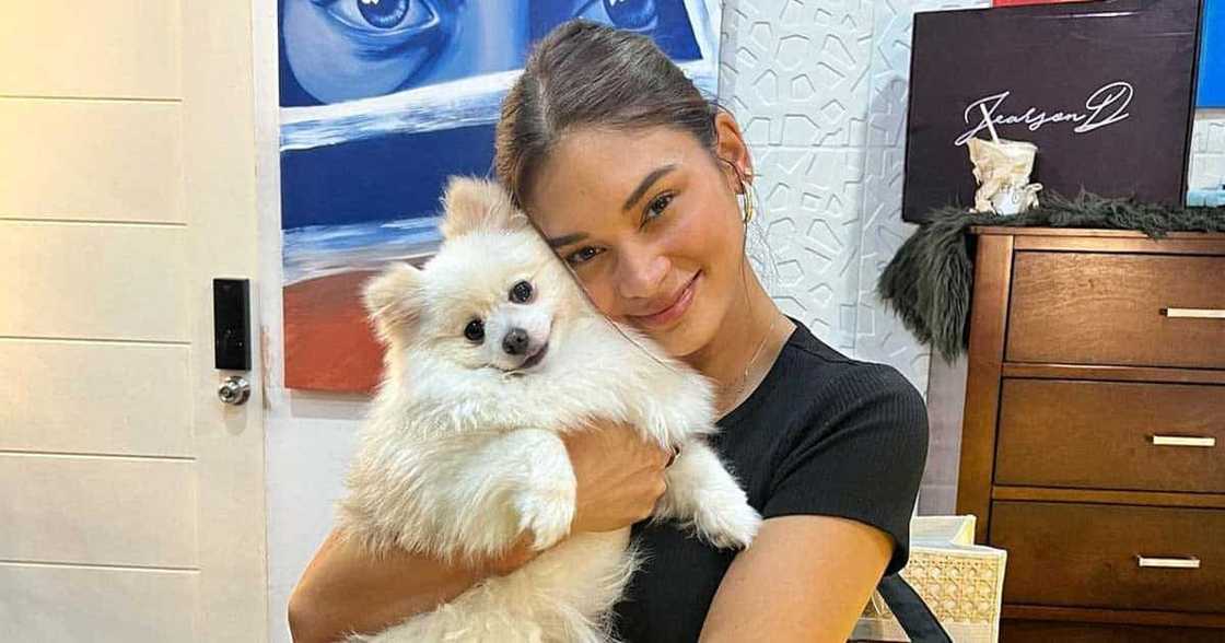 Pia Wurtzbach, relax muna matapos ang NYC Marathon: “Coach Gabb's advice is no running muna to recover”