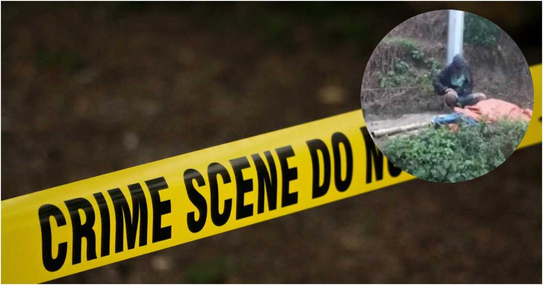 GMA News on YouTube and Ket Wilcox on Pexels GMA News on YouTube and Ket Wilcox on Pexels