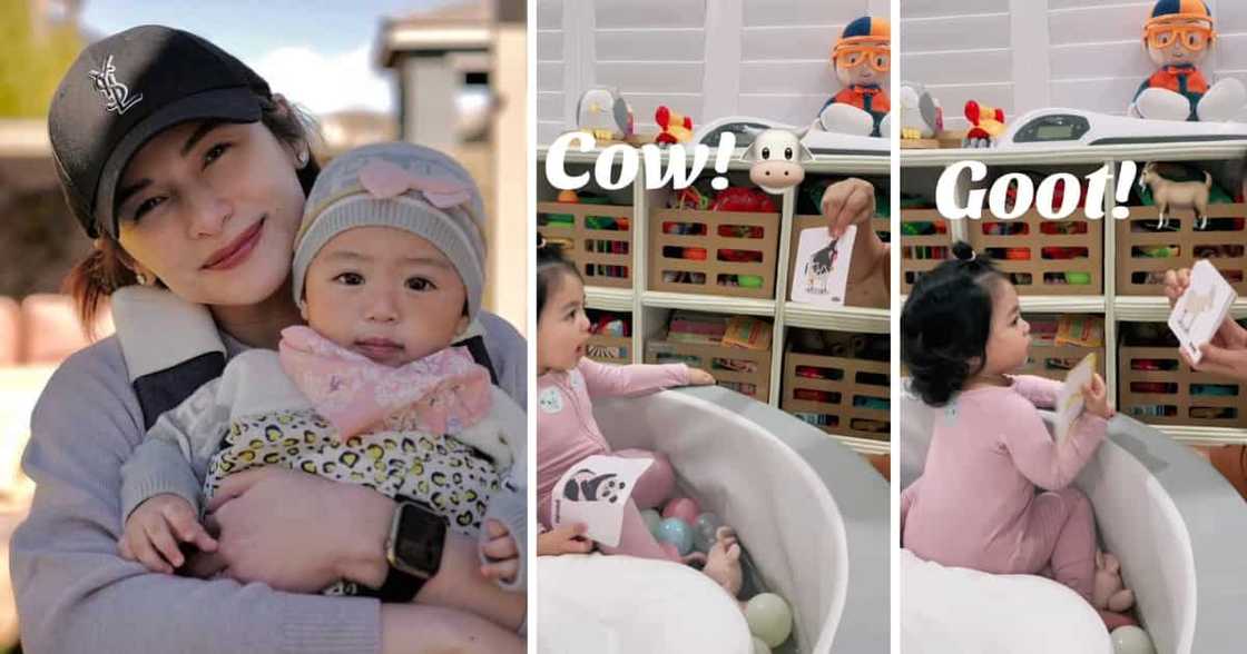 Jennylyn Mercado shares adorable video of daughter Dylan naming animals Jennylyn Mercado shares adorable video of daughter Dylan naming animals