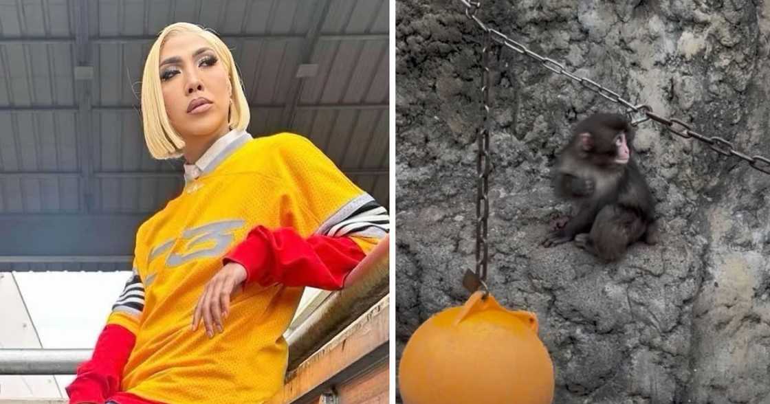 Vice Ganda, nagbahagi ng update matapos makita si Punch sa Japan Vice Ganda, nagbahagi ng update matapos makita si Punch sa Japan