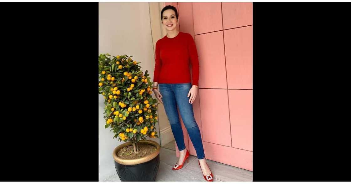 Kris Aquino, kailangan ang sariwang simoy ng dagat upang mapabuti ang kalagayan Kris Aquino, kailangan ang sariwang simoy ng dagat upang mapabuti ang kalagayan