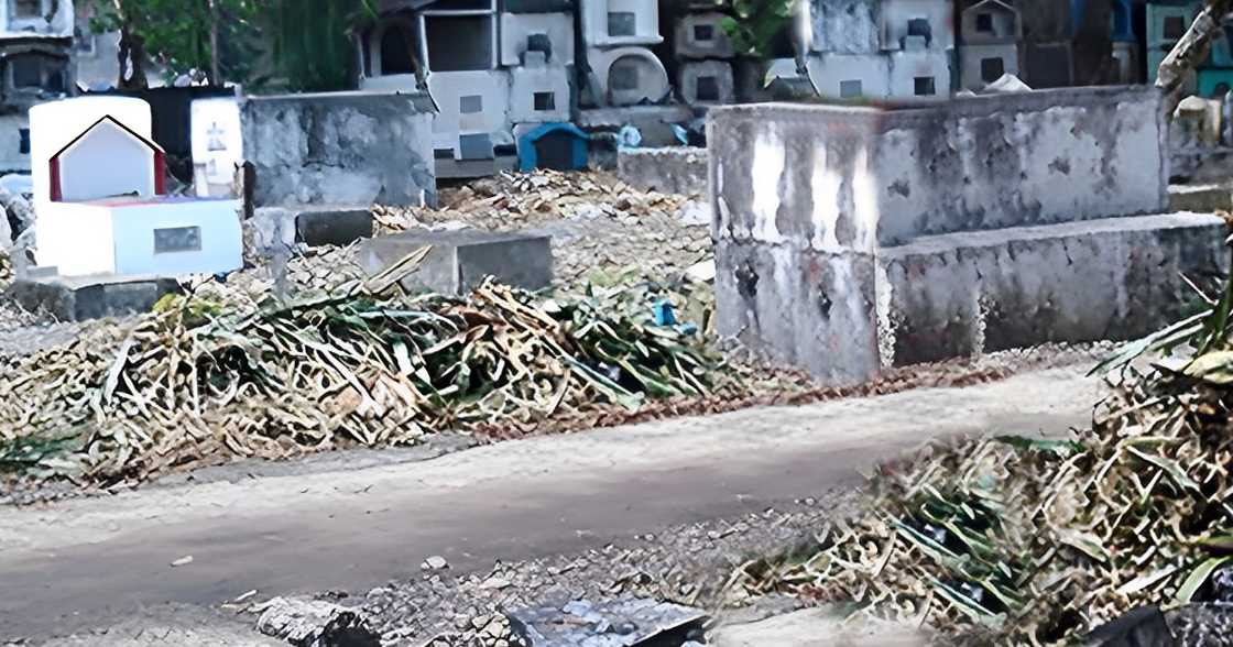 Mga nitso, winasak, ninakaw ang buto ng mga tuhod ng mga bangkay: “Gagawin umanong agimat” Mga nitso, winasak, ninakaw ang buto ng mga tuhod ng mga bangkay: “Gagawin umanong agimat”