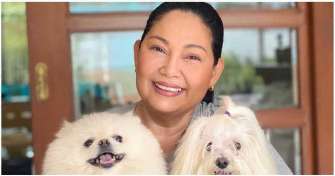 Maricel Soriano sa pagmamalasakit sa kapwa: "Naiintindihan ko yung sitwasyon e" Maricel Soriano sa pagmamalasakit sa kapwa: "Naiintindihan ko yung sitwasyon e"