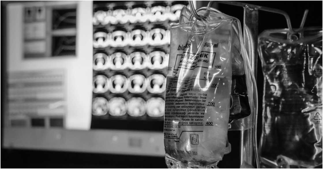 Furkan İnce on Pexels Furkan İnce on Pexels