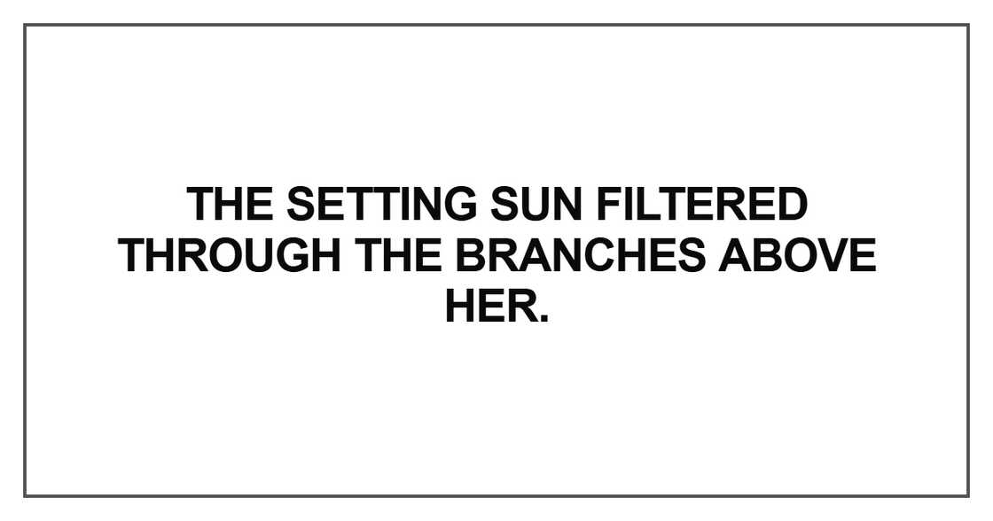 The setting sun filtered through The setting sun filtered through