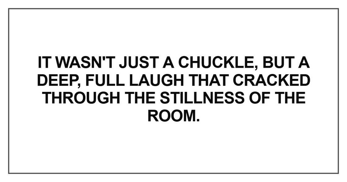 It wasn't just a chuckle, but a deep, full laugh that cracked through