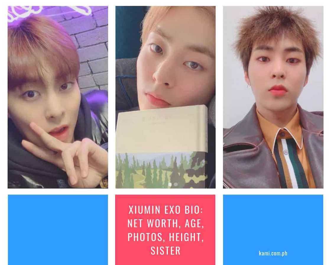 Xiumin EXO bio: net worth, age, photos, height, sister Xiumin EXO bio: net worth, age, photos, height, sister
