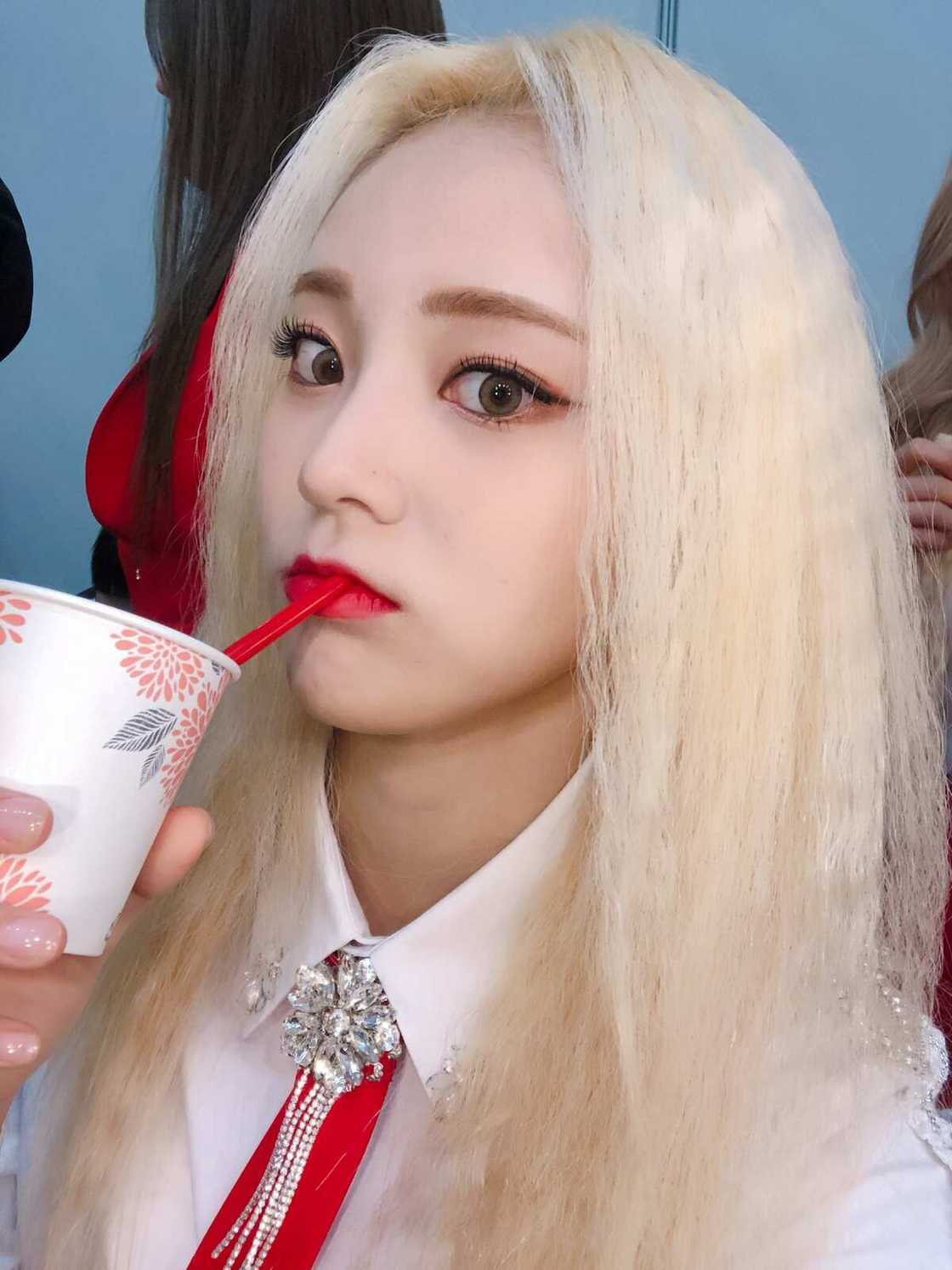 Loona debut Loona debut
