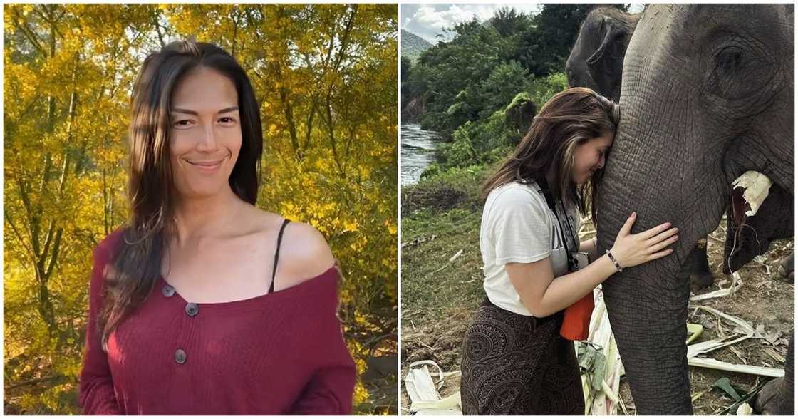 BB Gandanghari, napa-comment sa post ni Kylie Padilla tungkol sa elephants