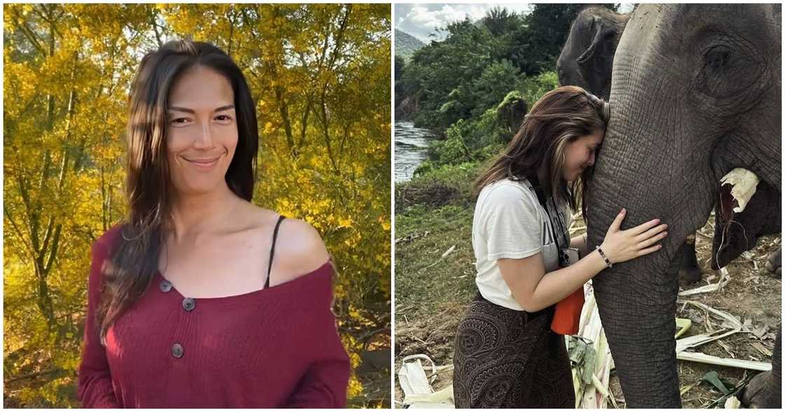 BB Gandanghari, napa-comment sa post ni Kylie Padilla tungkol sa elephants BB Gandanghari, napa-comment sa post ni Kylie Padilla tungkol sa elephants