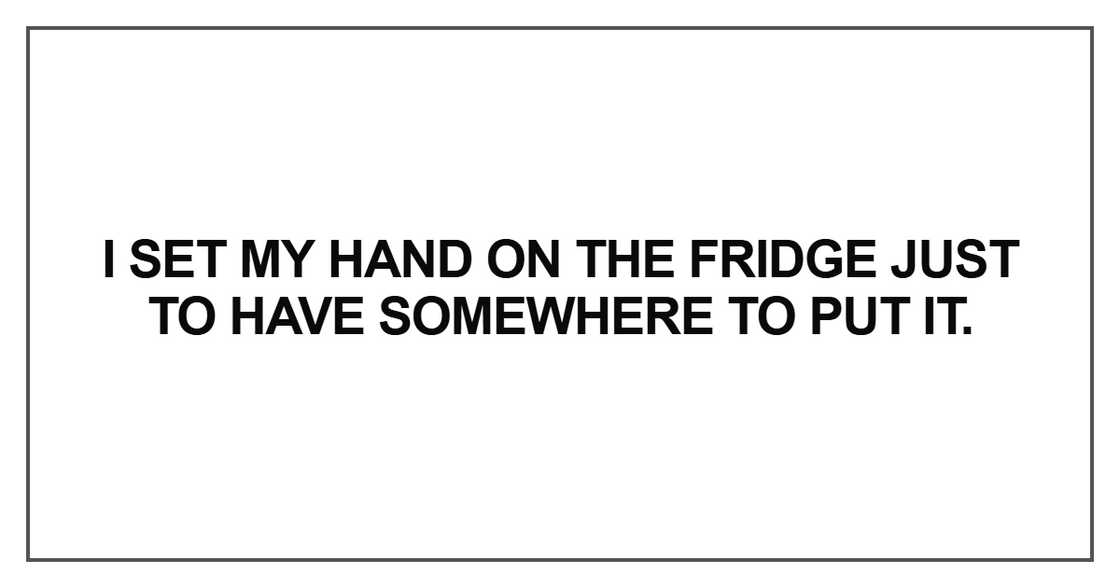 I set my hand on the fridge