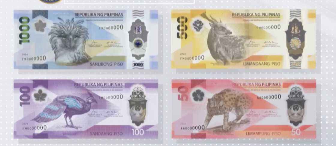 Photo: BSP Photo: BSP