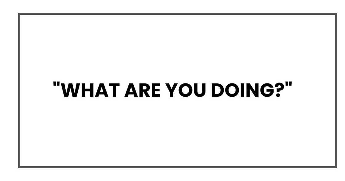 "What are you doing?"