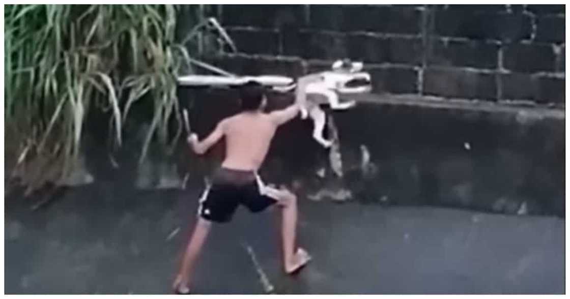 Binatilyong sumagip sa asong nasa ilog, nabigyan ng scholarship at bagong smartphone Binatilyong sumagip sa asong nasa ilog, nabigyan ng scholarship at bagong smartphone