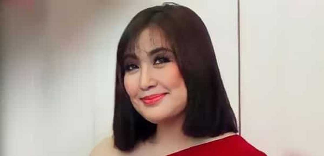 Sharon Cuneta/@reallysharoncuneta Sharon Cuneta/@reallysharoncuneta