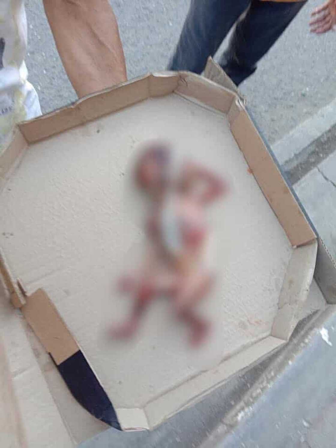 Patay na fetus, natagpuan sa isang basurahan sa Cebu City Patay na fetus, natagpuan sa isang basurahan sa Cebu City