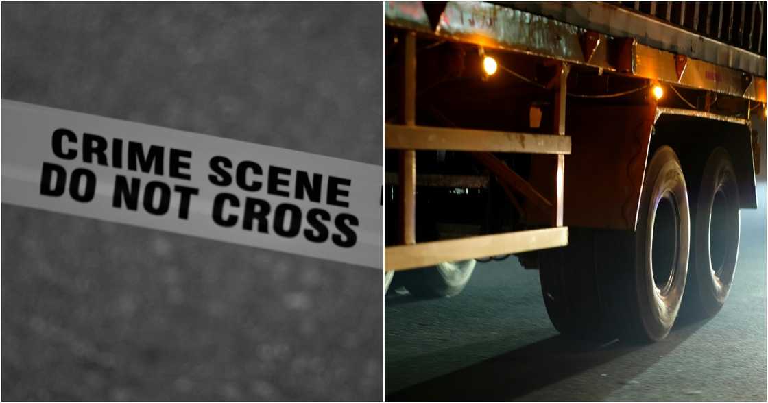 Mark D'aiuto on Pexels
Nandhu Kumar on Pexels Mark D'aiuto on Pexels
Nandhu Kumar on Pexels