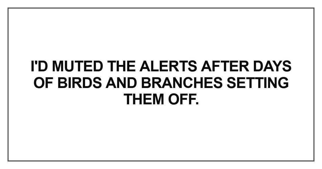 I'd muted the alerts after days I'd muted the alerts after days