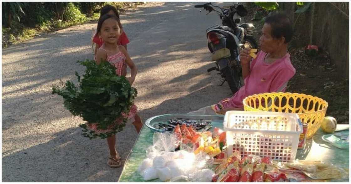 Batang babae na nabigyan ng biskwit sa 1 community pantry, nagbigay ng malunggay Batang babae na nabigyan ng biskwit sa 1 community pantry, nagbigay ng malunggay