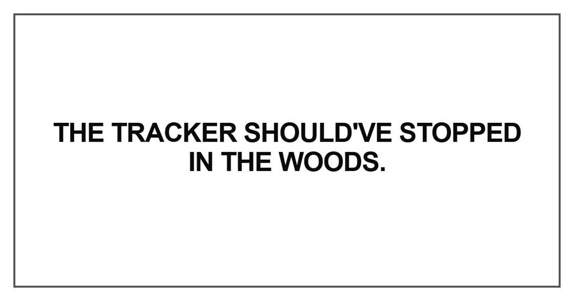 The tracker should've stopped in the woods The tracker should've stopped in the woods