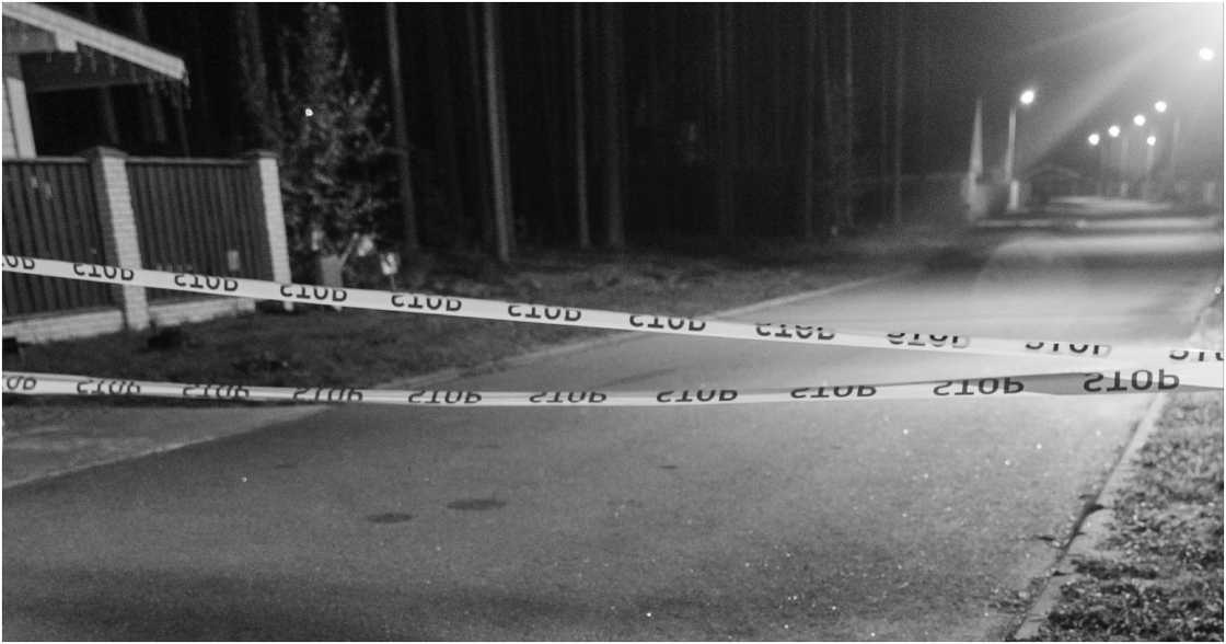 cottonbro studio on Pexels