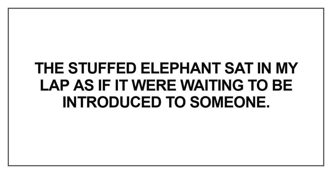 The stuffed elephant sat in my lap as The stuffed elephant sat in my lap as
