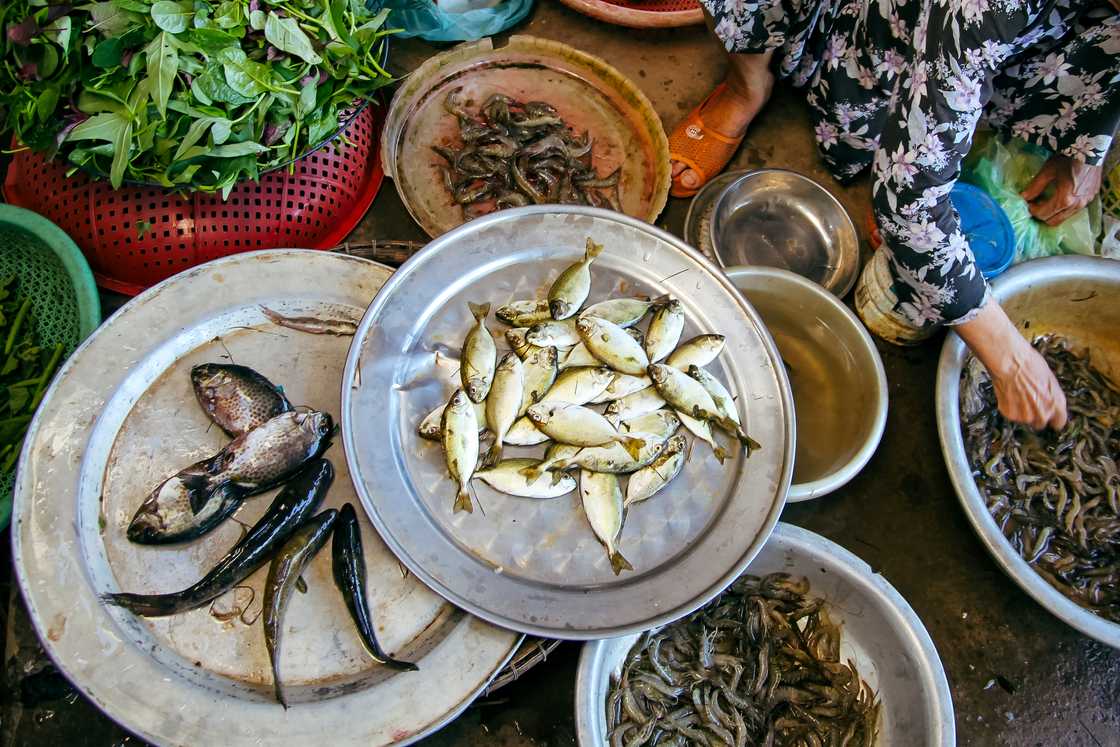 A busy fish market A busy fish market