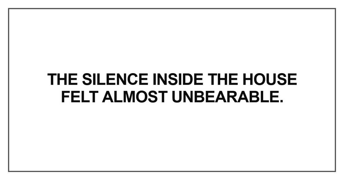 The silence inside the house The silence inside the house