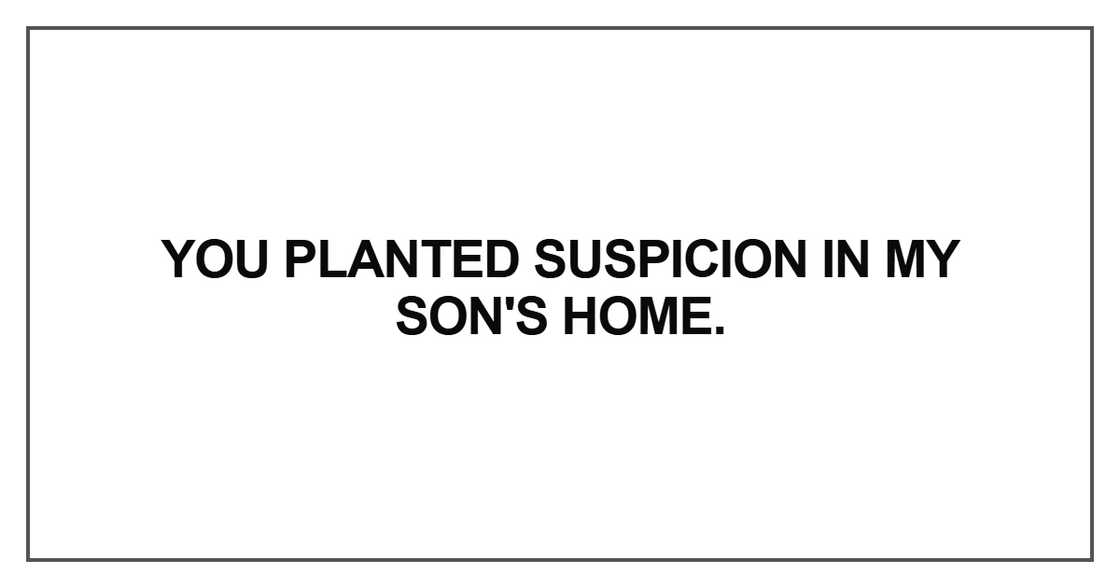 You planted suspicion in my son's home
