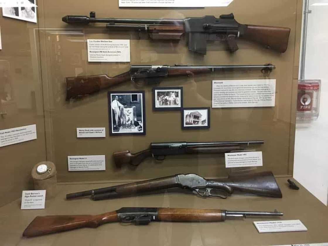 most expensive guns in the world most expensive guns in the world