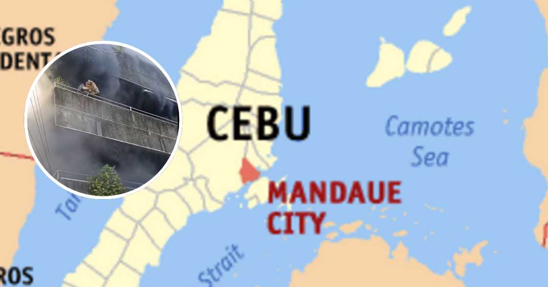 Fur mom risks her life to save her pets in a terrifying Cebu fire incident