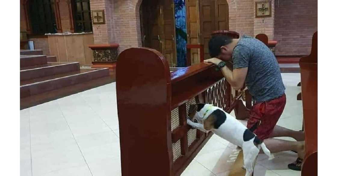 Dog trainer of Sarah Geronimo’s dog in ‘Unfogettable’ seeks aid for medical bills Dog trainer of Sarah Geronimo’s dog in ‘Unfogettable’ seeks aid for medical bills