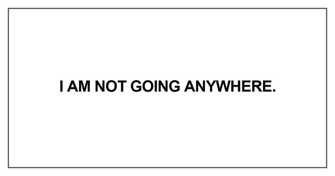 I am not going anywhere